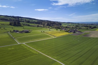 Agricultural arable land and meadows in the hamlet of Winterschwil, Beinwil, Freiamt, Canton,