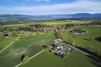 Blossoming pear trees and rape fields, the Reuss valley and the snow-covered Alps in the