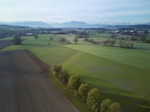 Agricultural fields and meadows in the Reuss valley, with the Rigi and the Alps behind,