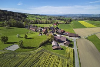 Agricultural fields and rape fields in bloom in the hamlet of Winterschwil, Beinwil, Freiamt,