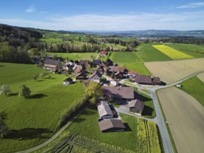 Agricultural fields and rape fields in bloom in the hamlet of Winterschwil, Beinwil, Freiamt,