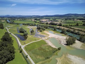 Freshly renaturalised area on the Reuss, floodplain landscape, Reussegg hamlet, Sins, Freiamt,