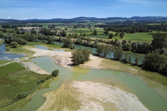 Freshly renaturalised area on the Reuss, floodplain landscape, Reussegg hamlet, Sins, Freiamt,