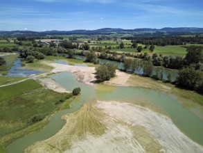 Freshly renaturalised area on the Reuss, floodplain landscape, Reussegg hamlet, Sins, Freiamt,