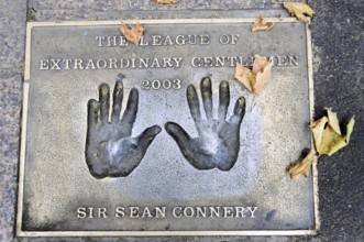 Plaque with handprints and corresponding inscription on a street with autumn leaves, London,