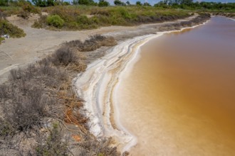 Scenery around Salin-de-Giraud located in in the Camargue area in southern France wich is showing