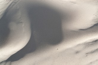 Full frame abstract sand background in sunny ambiance