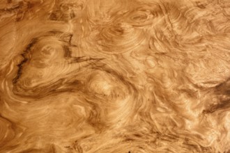 Full frame shot of a vivid wood grain surface