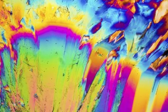 Colorful microscopic shot of Trisodium citrate microcrystals in polarized light