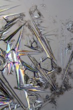 Macro shot of growing microcrystals of soda lye in polarized light