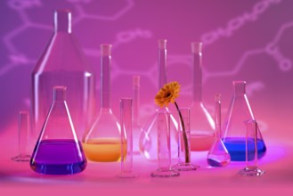 Variety of partly filled laboratory glassware including a flower head in violet illuminated