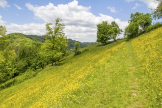 Sunny idyllic spring time scenery around Jagst valley in Hohenlohe, a district in Southern Germany