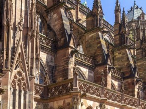 Sunny detail of the Strasbourg Cathedral in Strasbourg, a city at the Alsace region in France