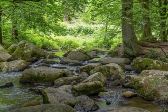 Impression at the idyllic nature reserve named Hoelle in the Bavarian Forestin Southern Germany at