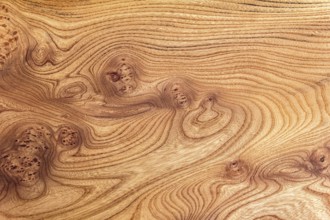 Full frame abstract burl wood background