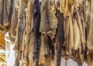 Various hanging fur pieces seen at a medieval market