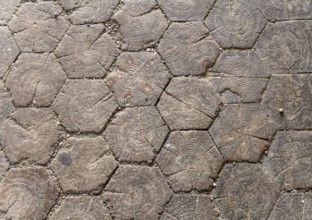 Historic wooden floor detail seen in Bamberg