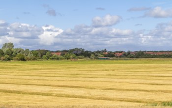 Impression of Spiekeroog, one of the East Frisian Islands at the North Sea coast of Germany