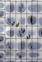 Window cleaners at the Elbphilharmonie facade in Hamburg, Germany