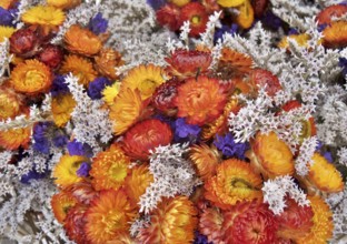 Full frame background of a bouquet of colorful dry flowers