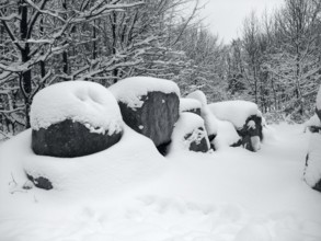 Grey toned snow-covered forest with big stones in Southern Germany