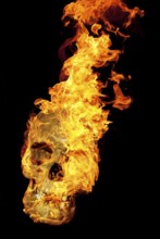 A burning old skull in black back