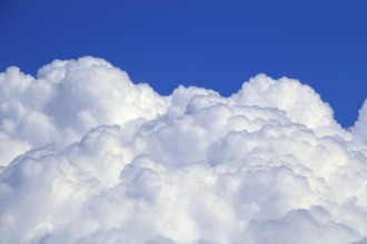 Full frame white cloud landscape in front of blue sky