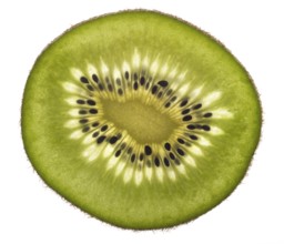 Thin translucent sliced kiwifruit in white back