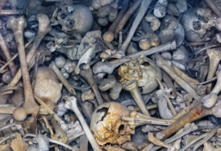 Lots of human bones from fallen soldiers seen at the Douaumont Ossuary, a memorial located near
