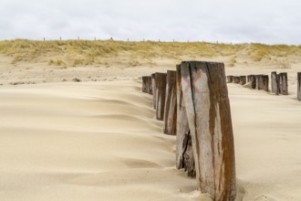 Sandy beach detail showing a groyne and dune overgrown with grass in a dutch province named Zeeland