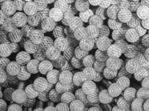Lots of nails seen from above