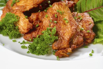 Roasted chicken dish with fresh green salad on a white plate