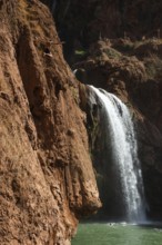 Moroccan young man jumps from the high rock into the water under a waterfall Ouzoud