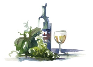 Watercolor illustration of a green wine grape with leaves and wine bottle in white back