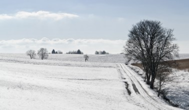 Snowbound rural landscape at winter time in Hohenlohe, an area in Southern Germany