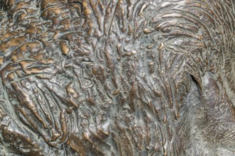 Full frame abstract bronze surface detail