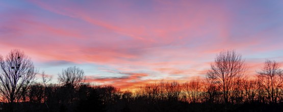 A colorful sundown including some clouds behind some leafless treetop silhouettes