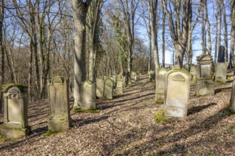 Historic jewish graveyard at early spring time near Berlichingen in Hohenlohe, a area in Southern