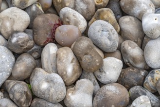 Full frame picture showing lots of cobbles seen at the Normandy region in France