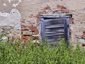 Overgrown plants grow in front of an old brick wall with a weathered wooden window Styria Austria