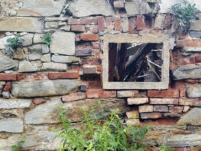 Aged brick wall with wooden frame and plants, conveys abandonment Styria Austria