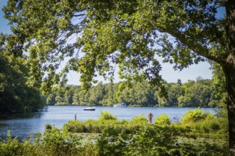 Swimming in nature at Wannsee, Berlin, Germany