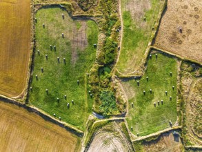 Top Down view over Cornwall fields and farms from a drone, Lizard Peninsula, South West Coast Path,