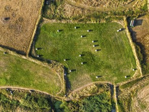 Top Down view over Cornwall fields and farms from a drone, Lizard Peninsula, South West Coast Path,