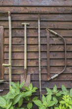 Tools for the garden on a wooden facade, equipment, work, Bissendorf, Lower Saxony, Germany