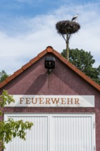 Stork's nest in the village of Gantikow near Kyritz, Brandenburg, Germany