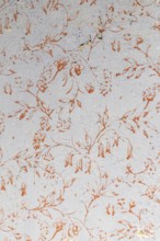 Antique wall paint with floral pattern