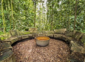 Benches in a cottage garden, esotericism, forest, Sutthausen, Osnabrück, Lower Saxony, Germany