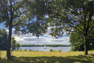 Lippesee near Sande, Paderborn, North Rhine-Westphalia, Germany