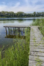 Wooden jetty at the Gantikow bathing lake, Kyritz, Brandenburg, Germany